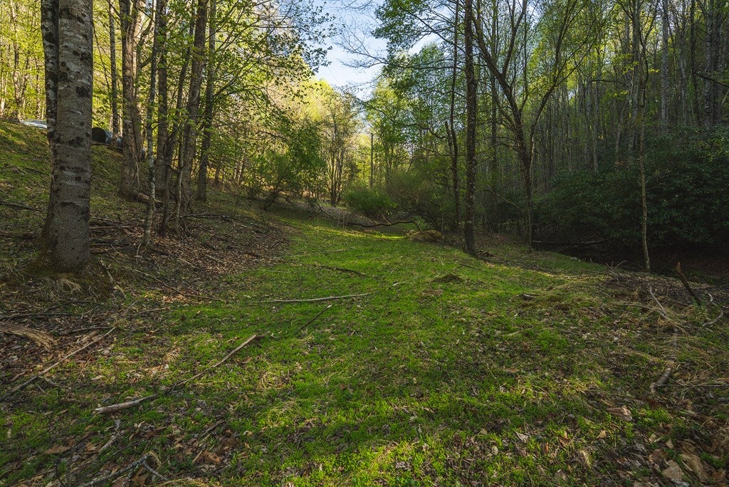Tbd Black Ridge Road Southwest Floyd, VA 24091 - Photo 28 of 38 Gallery Image 28