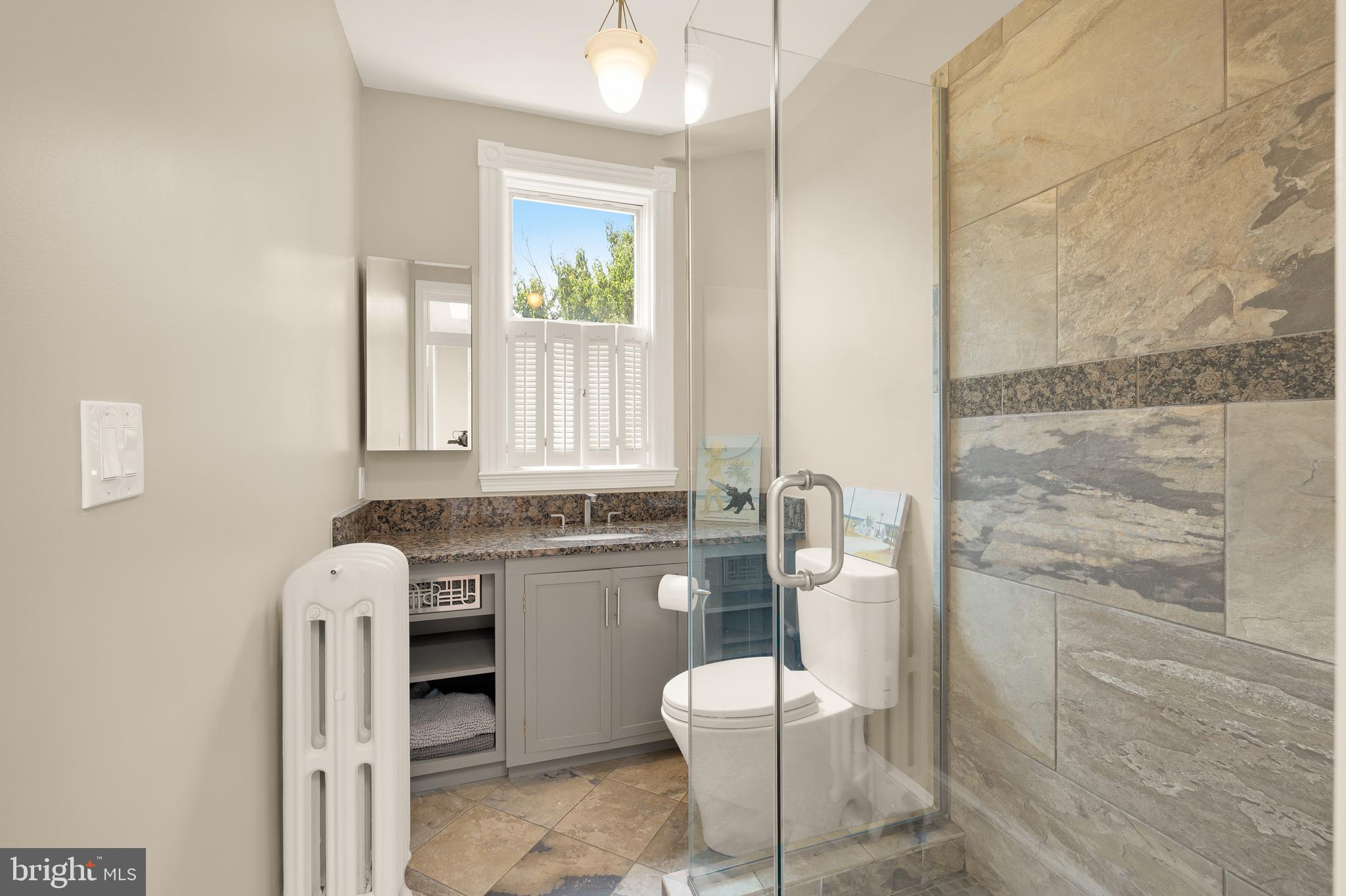 107 5th Street Southeast Washington, DC 20003 - Photo 20 of 26 a bathroom with a granite countertop sink a toilet and mirror