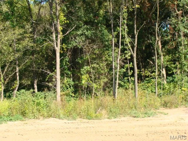 $189,900 | 0 Hwy 67 Desloge Mo 63601, Bonne Terre, MO 63628