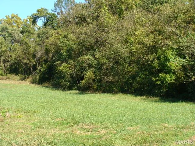 $189,900 | 0 Hwy 67 Desloge Mo 63601, Bonne Terre, MO 63628