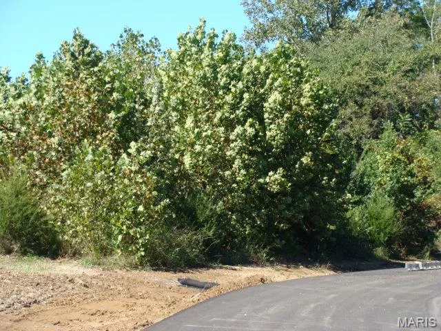 $189,900 | 0 Hwy 67 Desloge Mo 63601, Bonne Terre, MO 63628