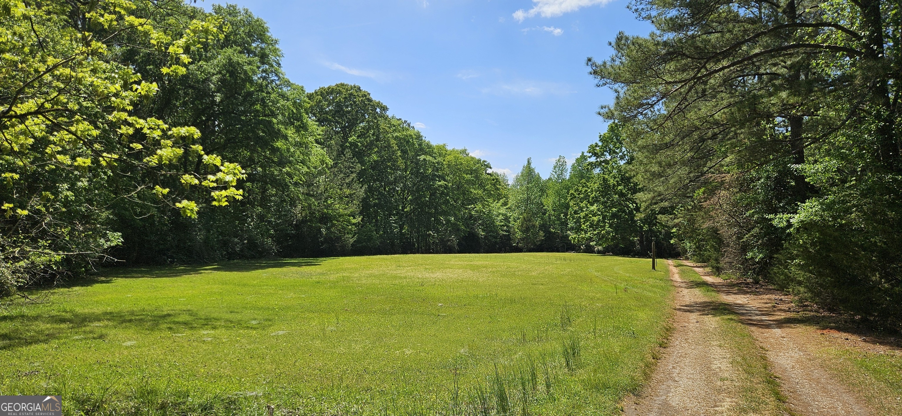 a view of a field with an trees