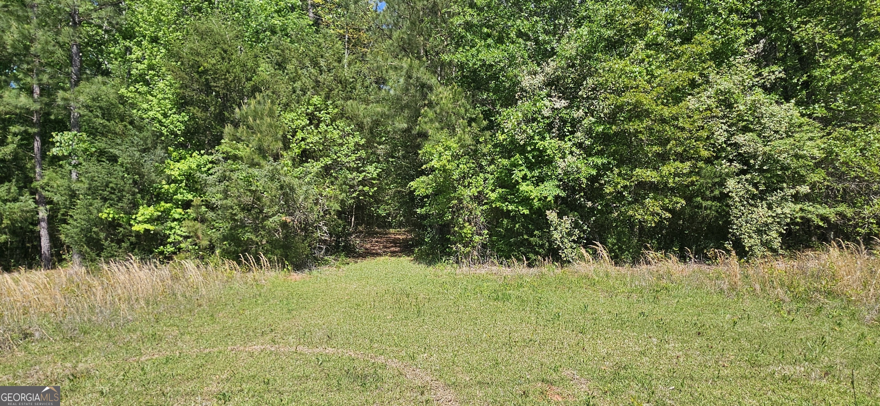 138 Lewis Street Jackson, GA 30233 - Photo 2 of 7 a view of a garden