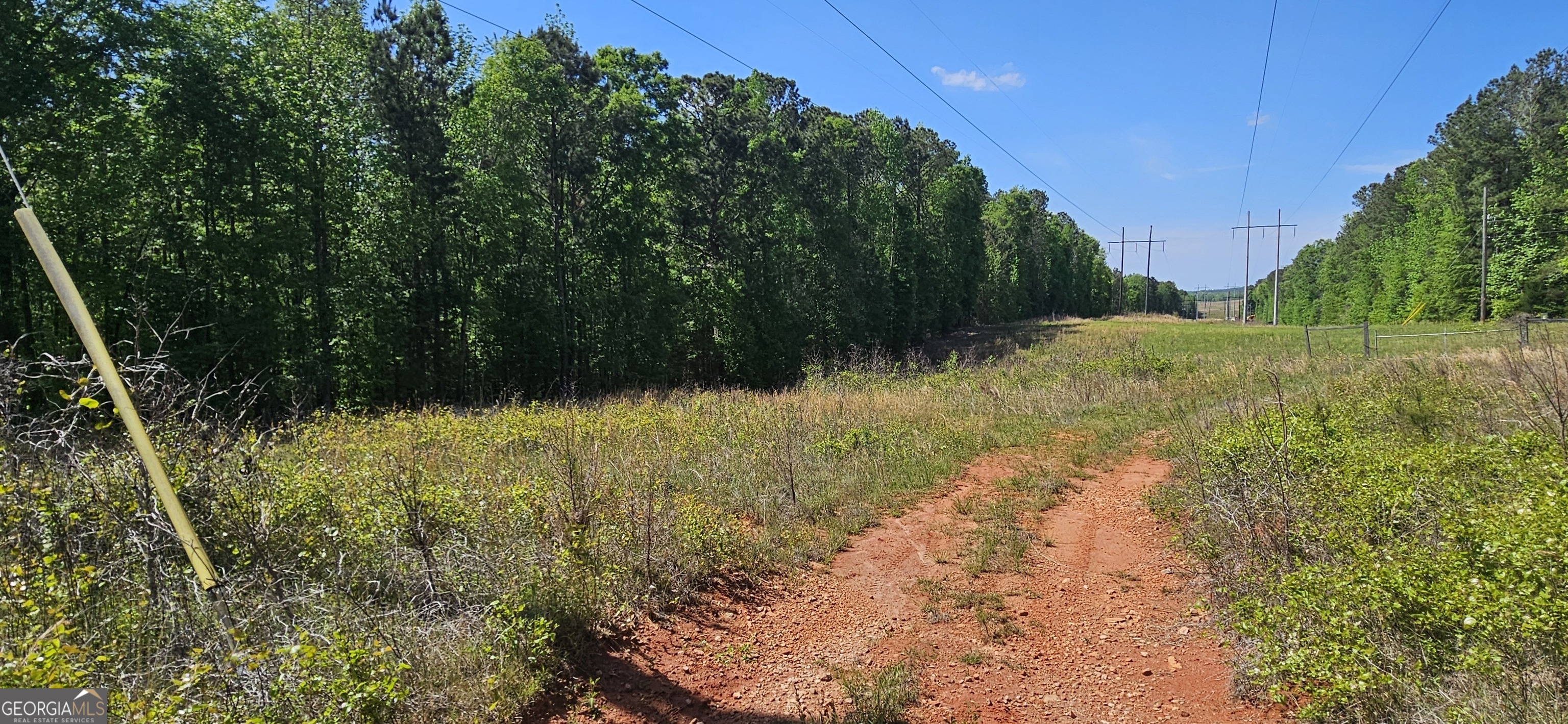 138 Lewis Street Jackson, GA 30233 - Photo 3 of 7 a view of a yard
