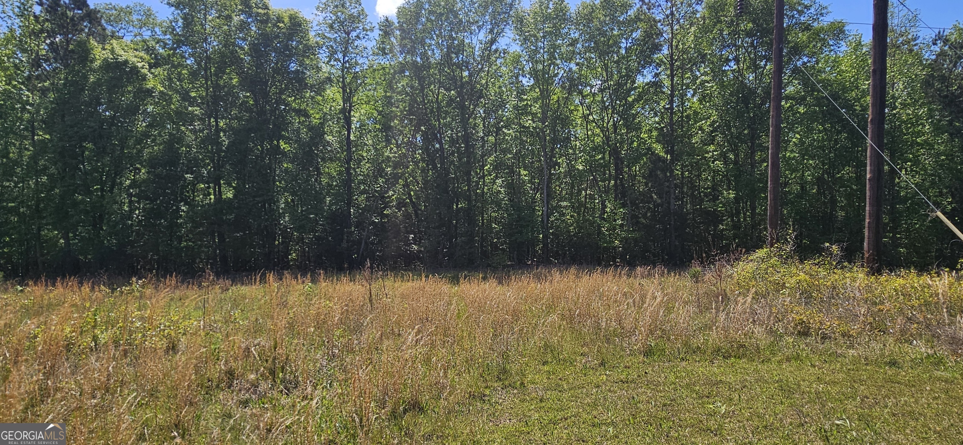 138 Lewis Street Jackson, GA 30233 - Photo 4 of 7 a view of a lake