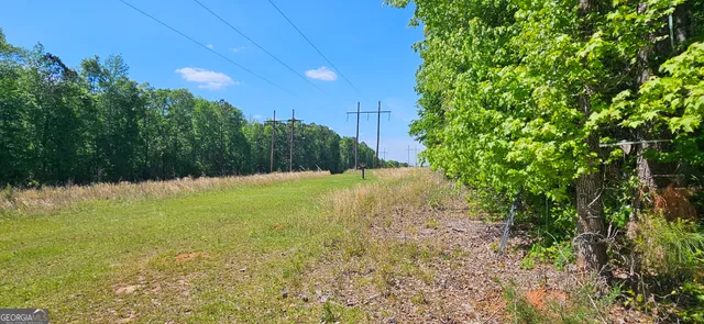 a view of a tree in a yard