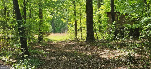 $498,000 | 138 Lewis Street, Jackson, GA 30233