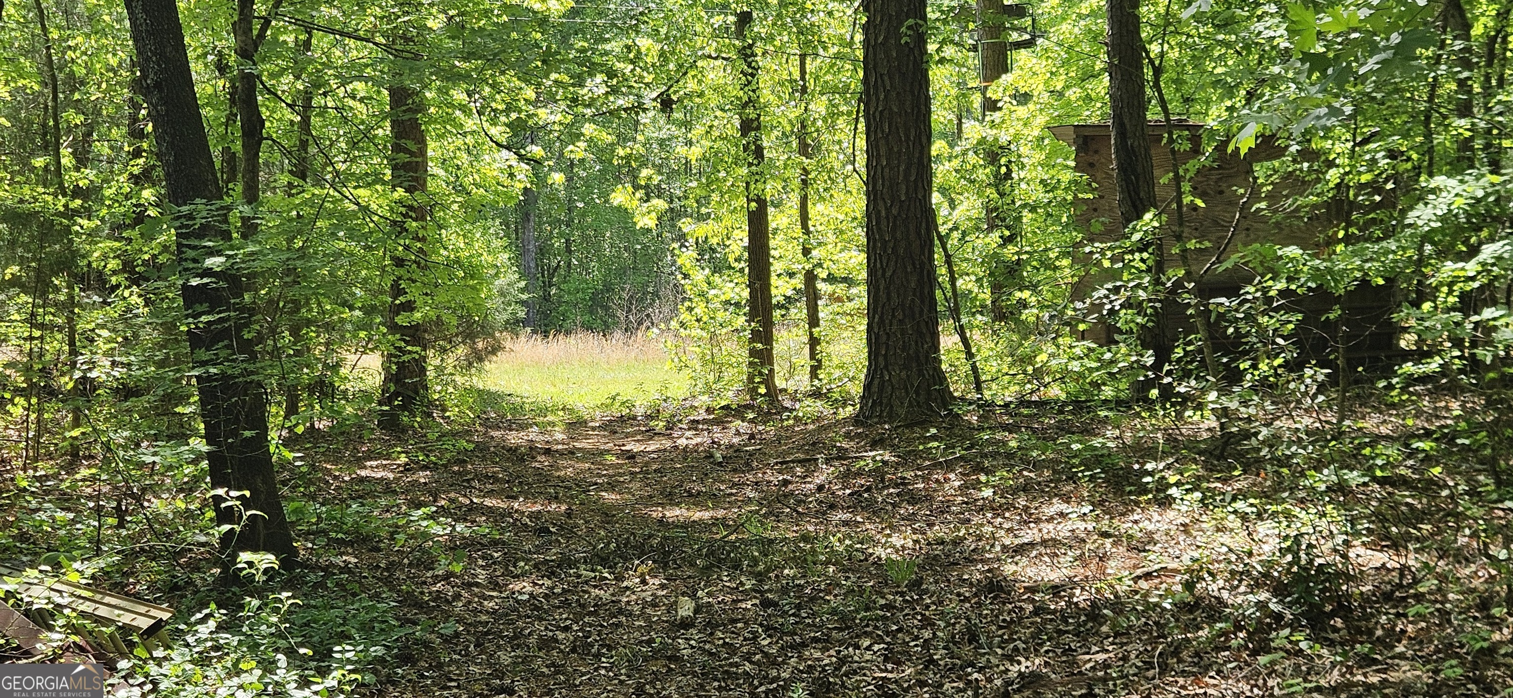 138 Lewis Street Jackson, GA 30233 - Photo 7 of 7 a view of a tree in a yard