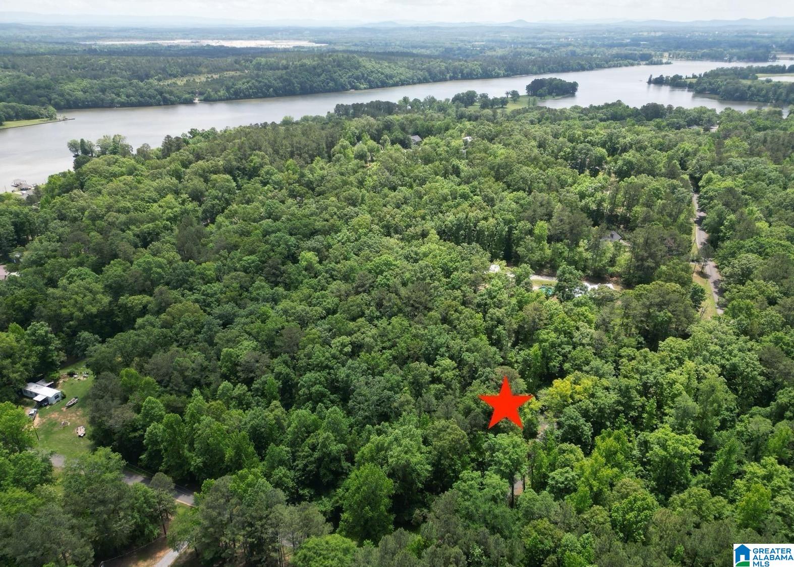 45 Coosa View Lane Riverside, AL 35135 - Photo 3 of 9