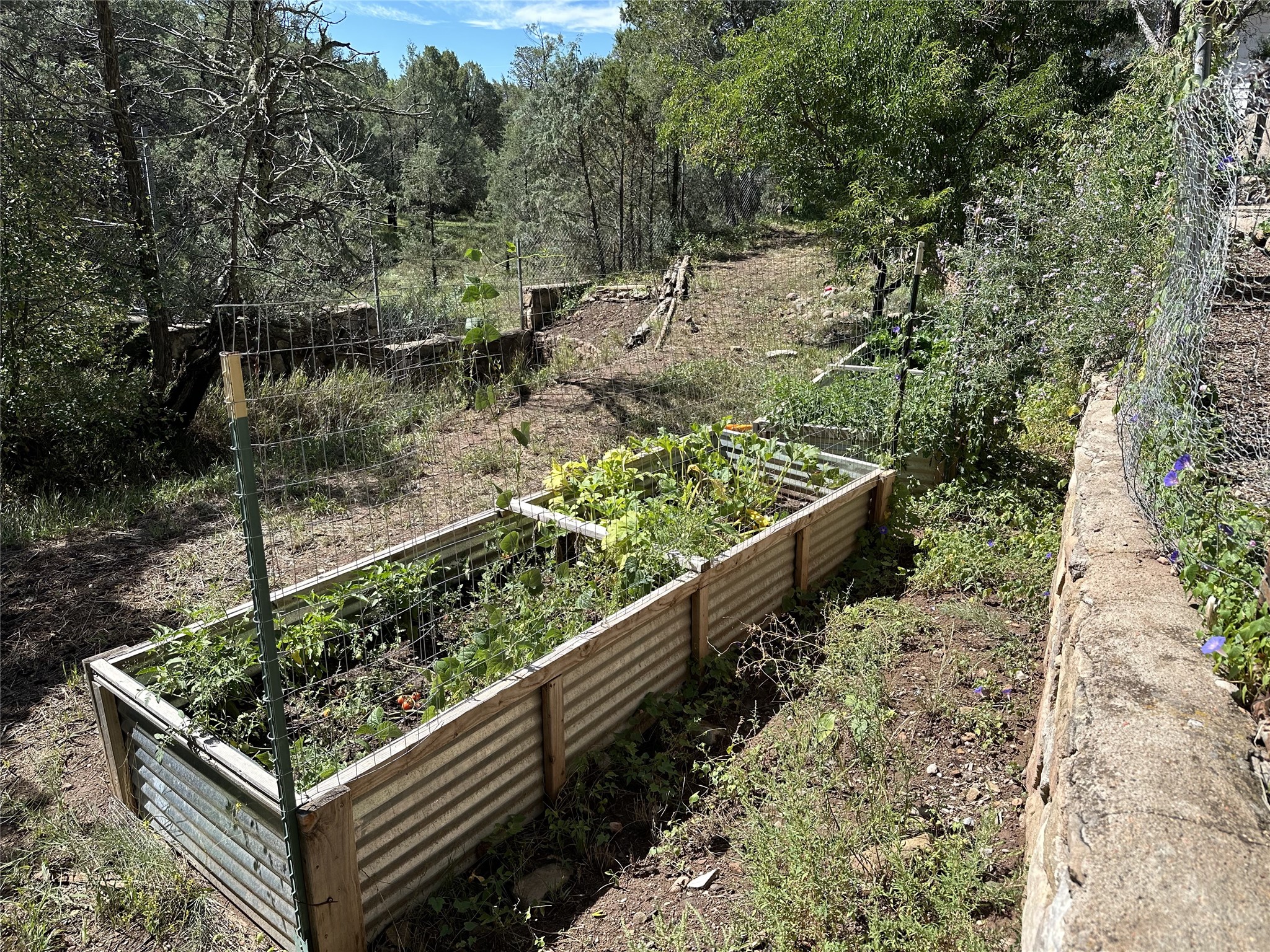 5 County Rd B51A Pecos, NM 87552 - Photo 63 of 64 Gallery Image 63
