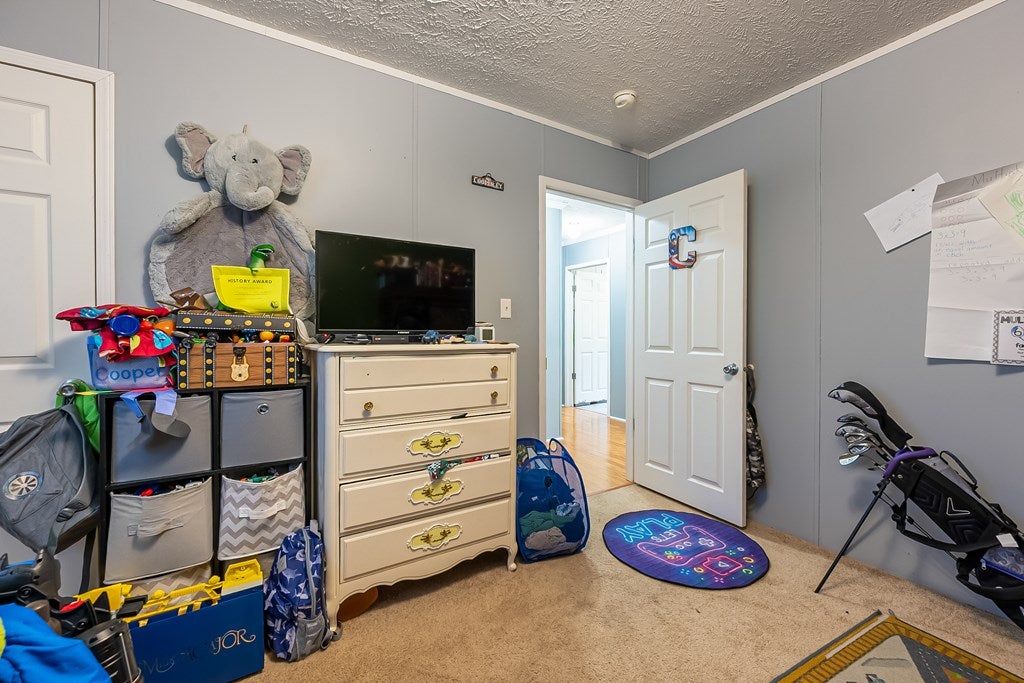 1277 Castleton Road Max Meadows, VA 24360 - Photo 30 of 51 Gallery Image 30