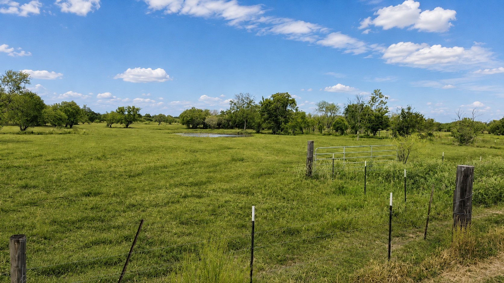 13550 Moody Road Needville, TX 77461 - Photo 2 of 6 Gallery Image 2