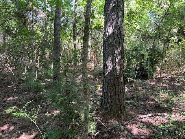 0 Rosin Ridge Road Red Level, AL 36474 - Photo 11 of 14 Gallery Image 11
