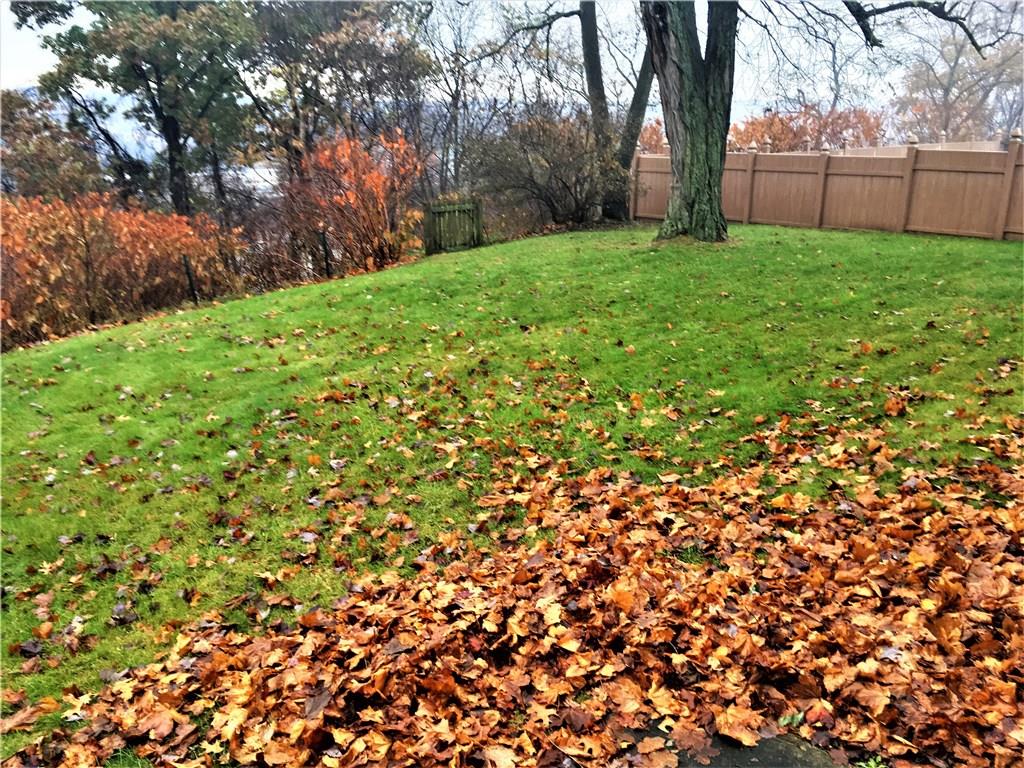 2809 Front Street Monaca, PA 15061 - Photo 17 of 19 Rear Yard