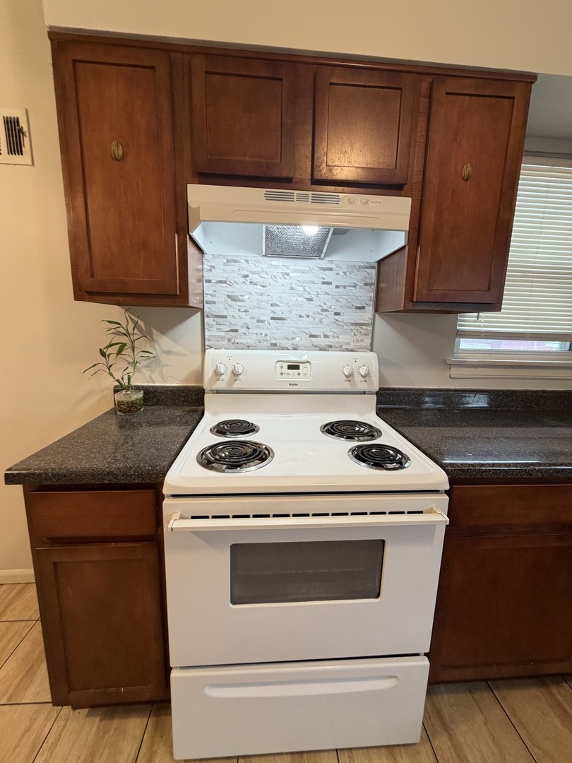 312 East 83rd Street, Unit 1 Chicago, IL 60619 - Photo 9 of 18 a stove top oven sitting inside of a kitchen