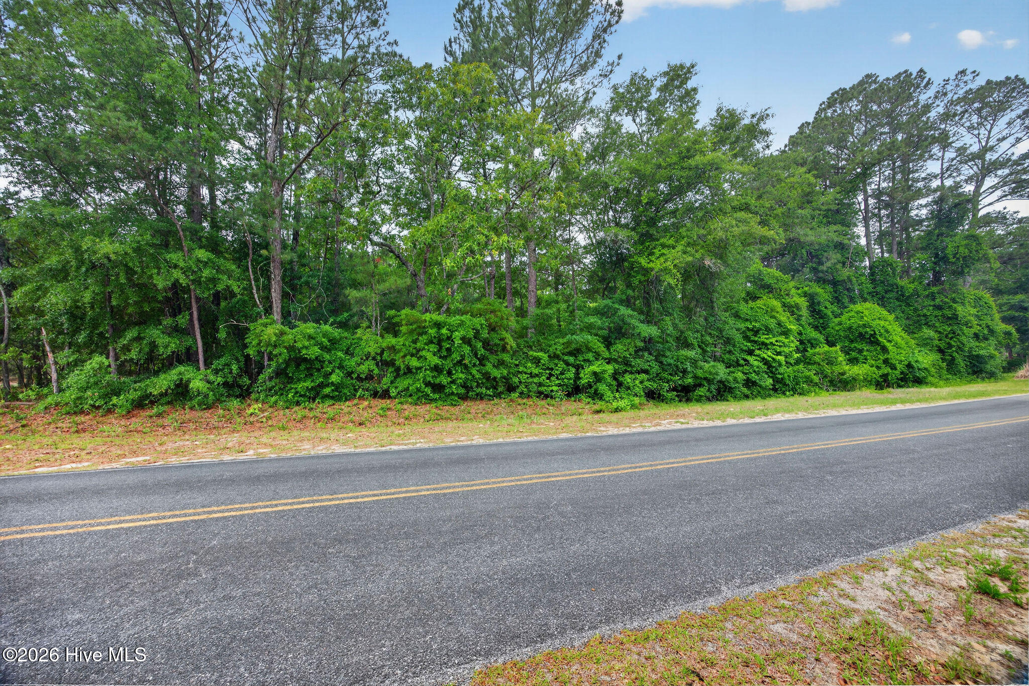0 Point Caswell Road Atkinson, NC 28421 - Photo 5 of 16 PointCaswellRoadLot-1