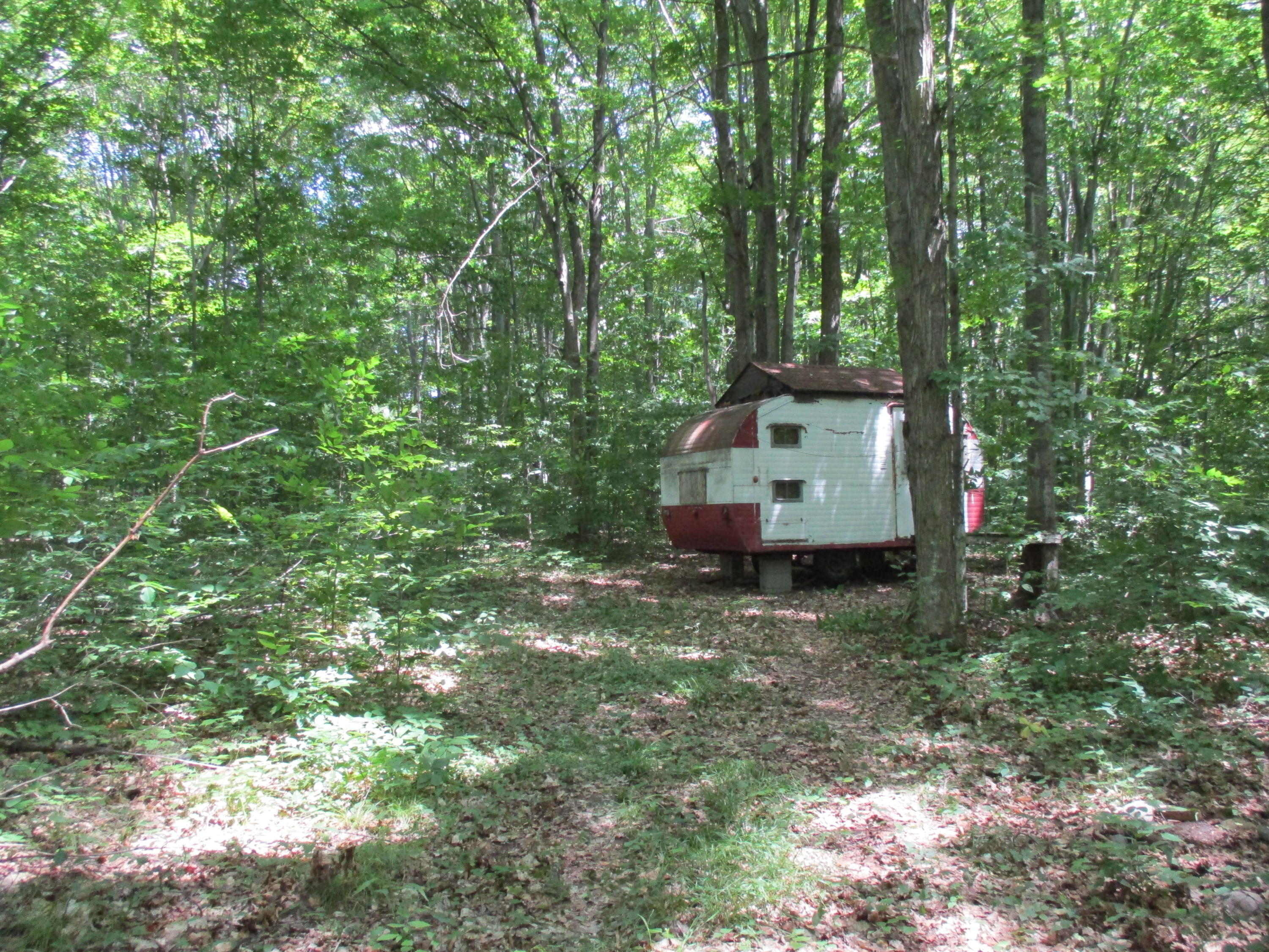 Wolf Road Frederic, MI 49733 - Photo 14 of 14 Gallery Image 14
