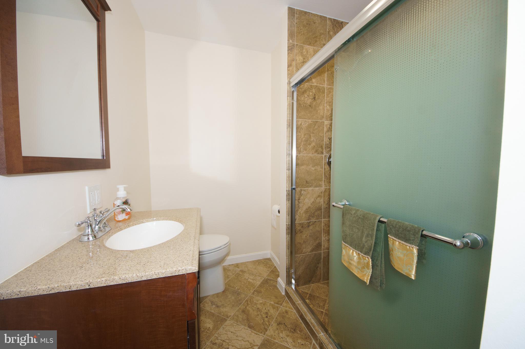 13905 North Gate Lane Silver Spring, MD 20906 - Photo 13 of 23 Main level bath fully renovated.