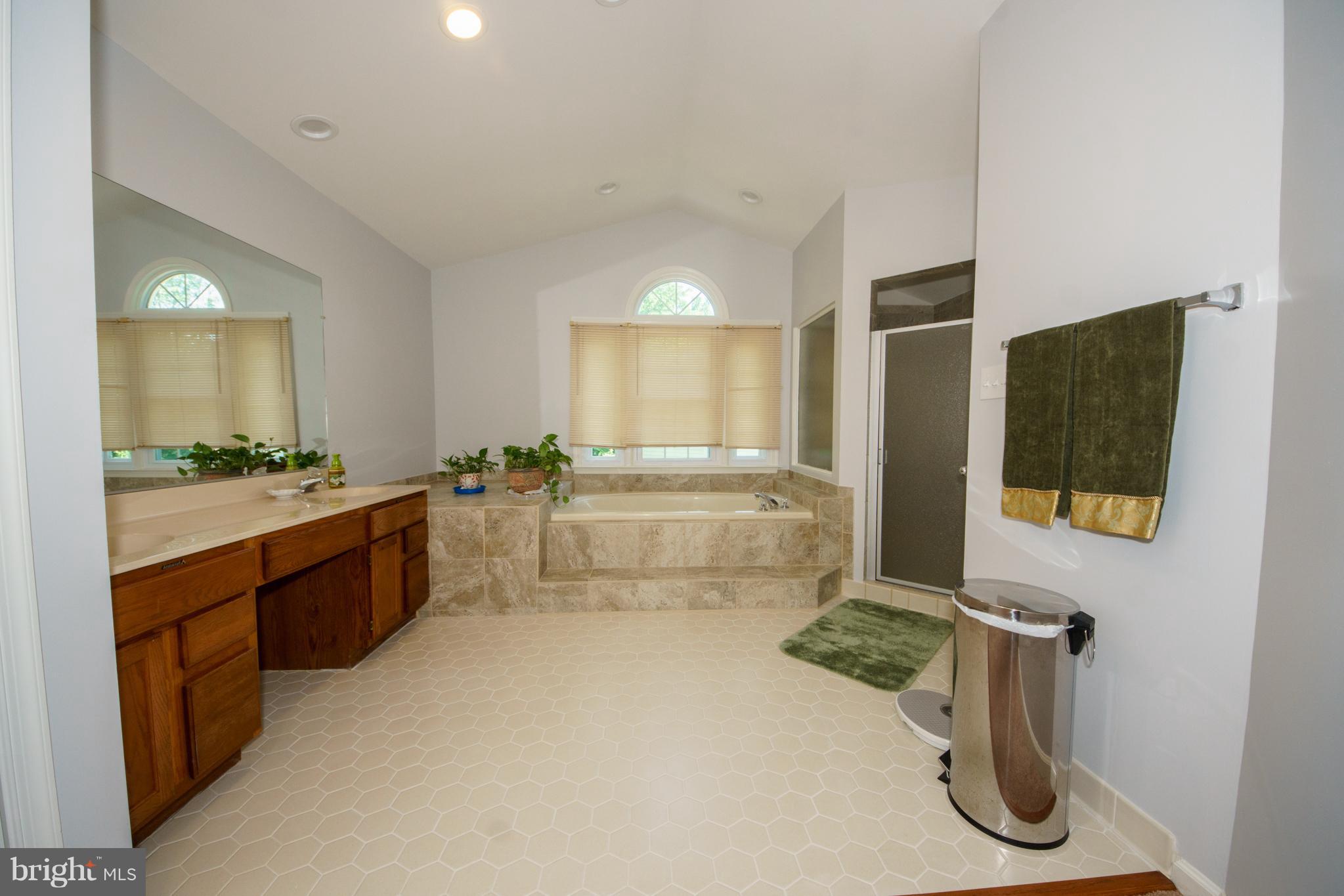 13905 North Gate Lane Silver Spring, MD 20906 - Photo 18 of 23 Luxury bath! Separate shower & private toilet.