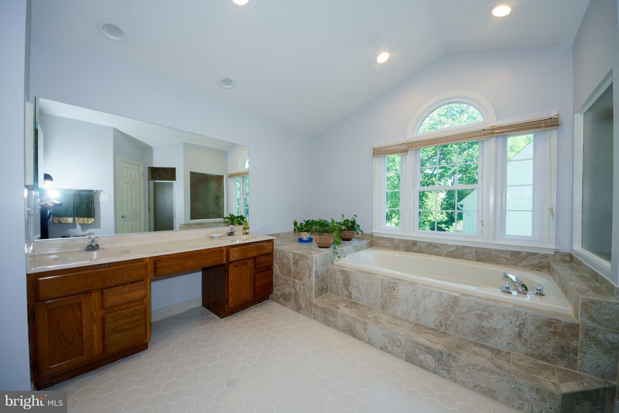 13905 North Gate Lane Silver Spring, MD 20906 - Photo 5 of 23 Elegant marble finish step up tub