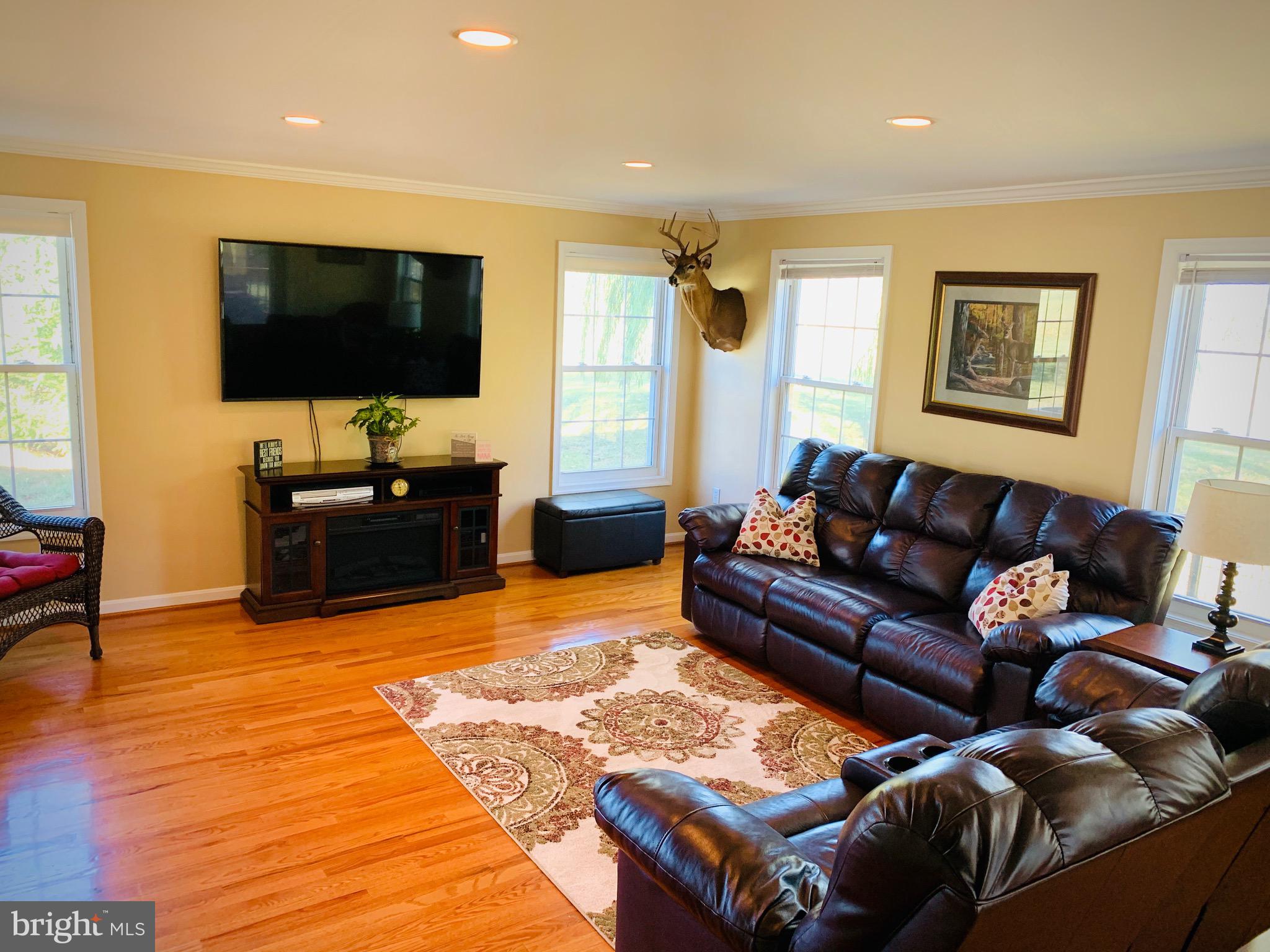 445 Cather Road Berryville, VA 22611 - Photo 15 of 77 Family room with recessed lights