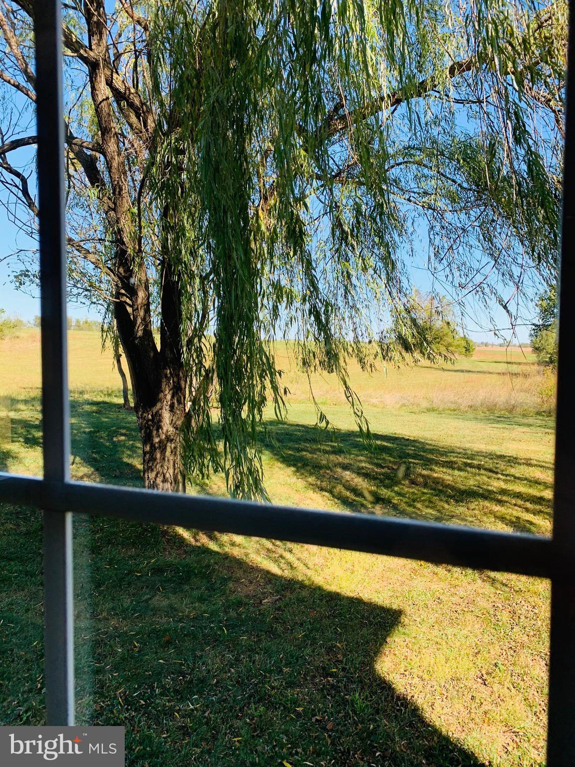 445 Cather Road Berryville, VA 22611 - Photo 20 of 77 View from family room