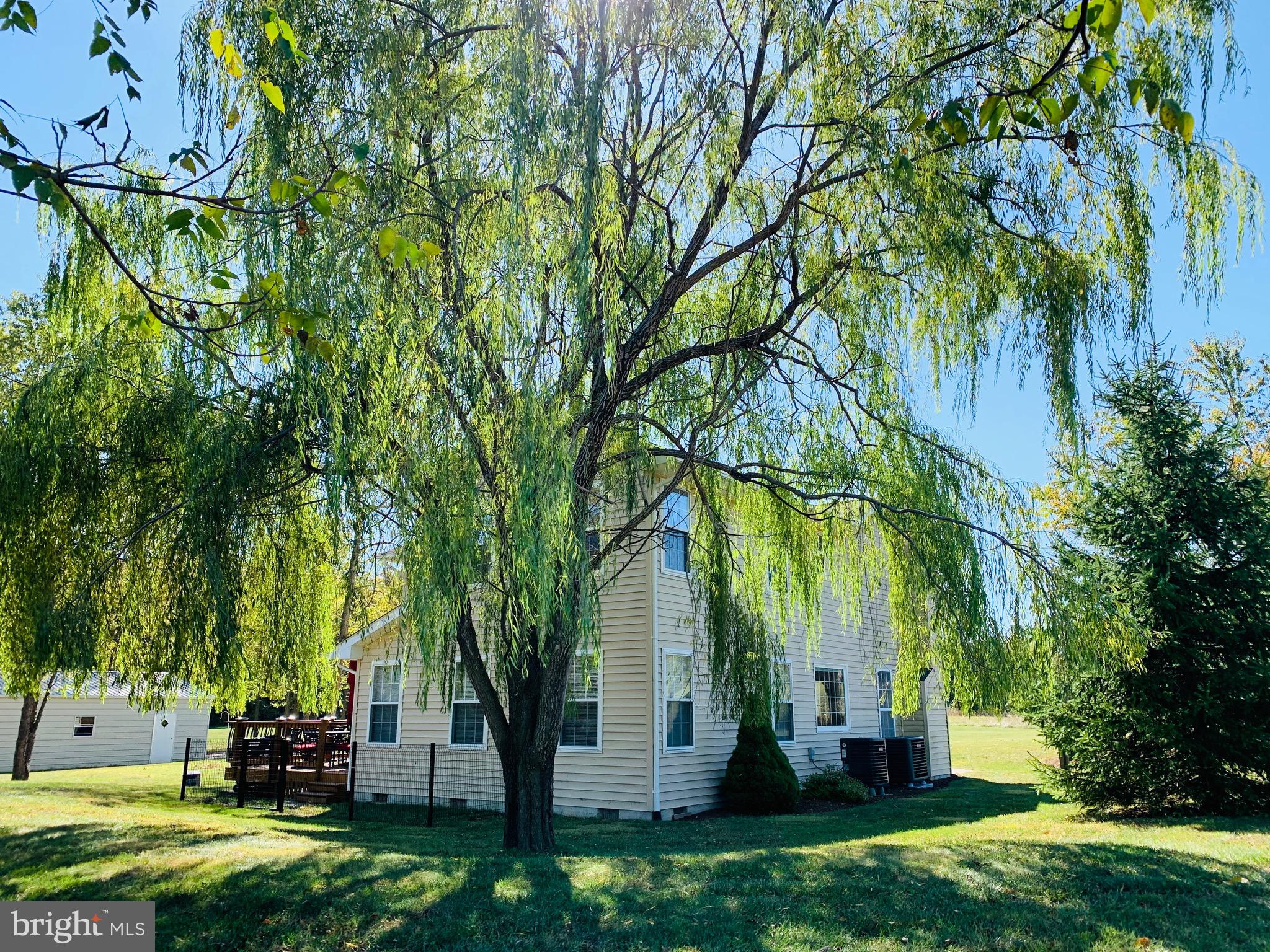 445 Cather Road Berryville, VA 22611 - Photo 3 of 77 Even has a mature weeping willow