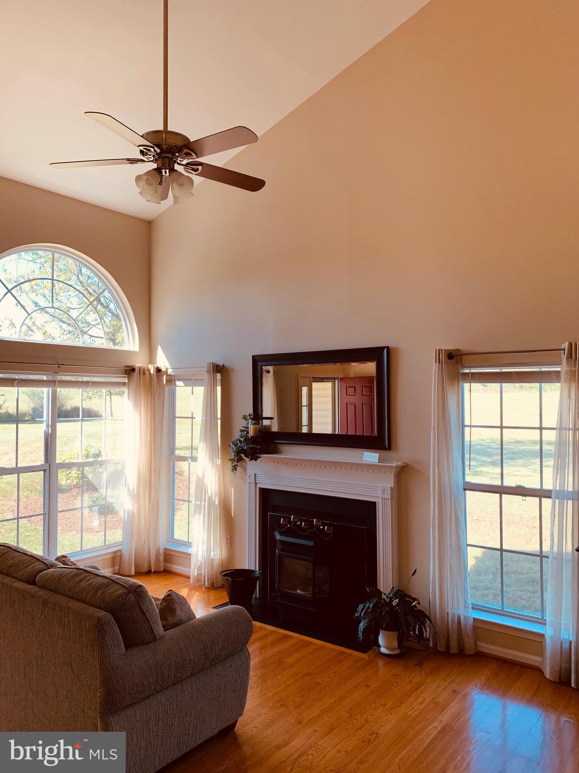 445 Cather Road Berryville, VA 22611 - Photo 21 of 77 Vaulted ceilings in the front room