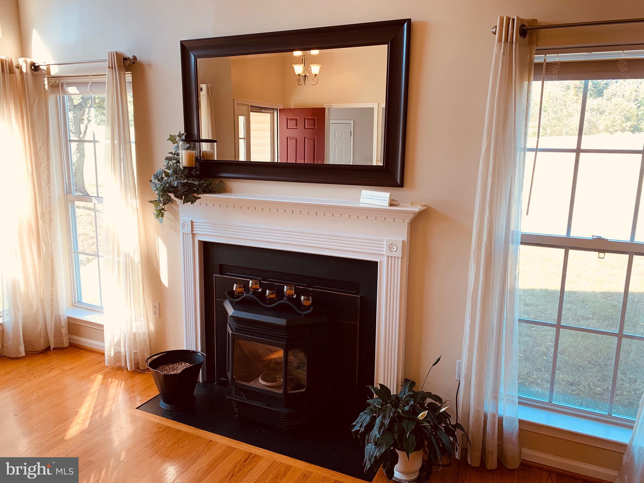 445 Cather Road Berryville, VA 22611 - Photo 22 of 77 New wood pellet stove