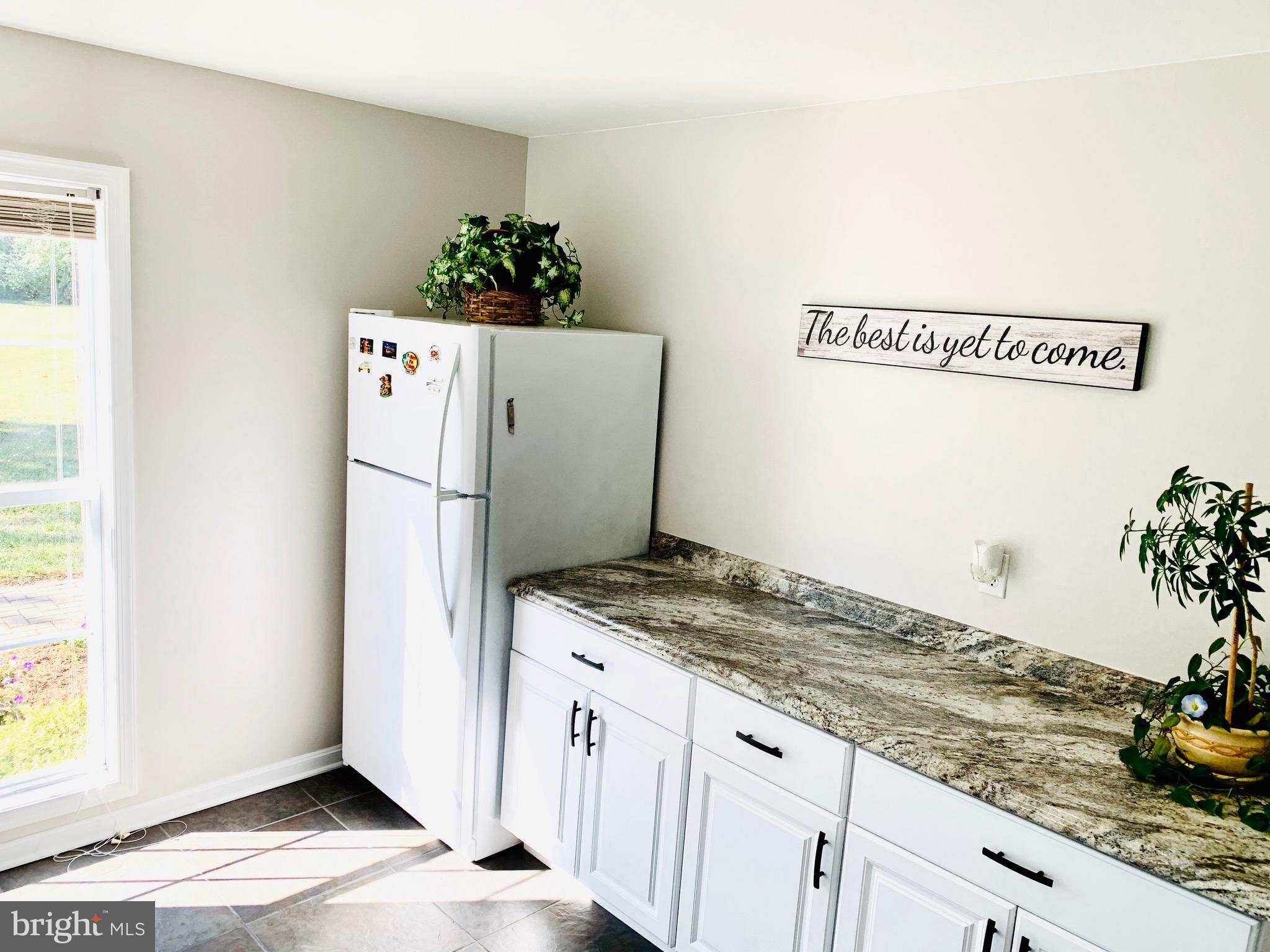 445 Cather Road Berryville, VA 22611 - Photo 25 of 77 laundry with folding area & 2nd refrigerator