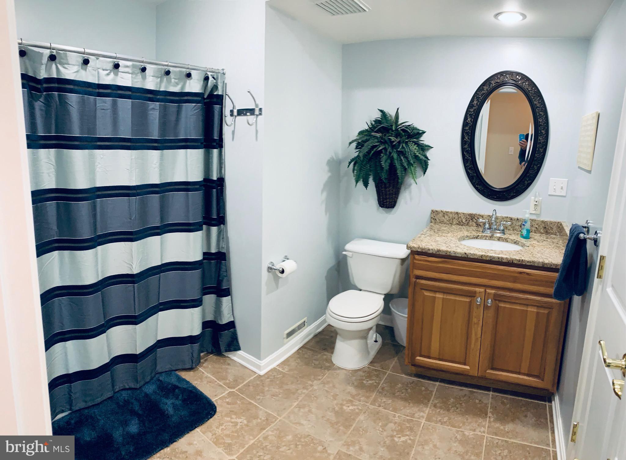 445 Cather Road Berryville, VA 22611 - Photo 32 of 77 main level full bath (2 doors- master & guest)