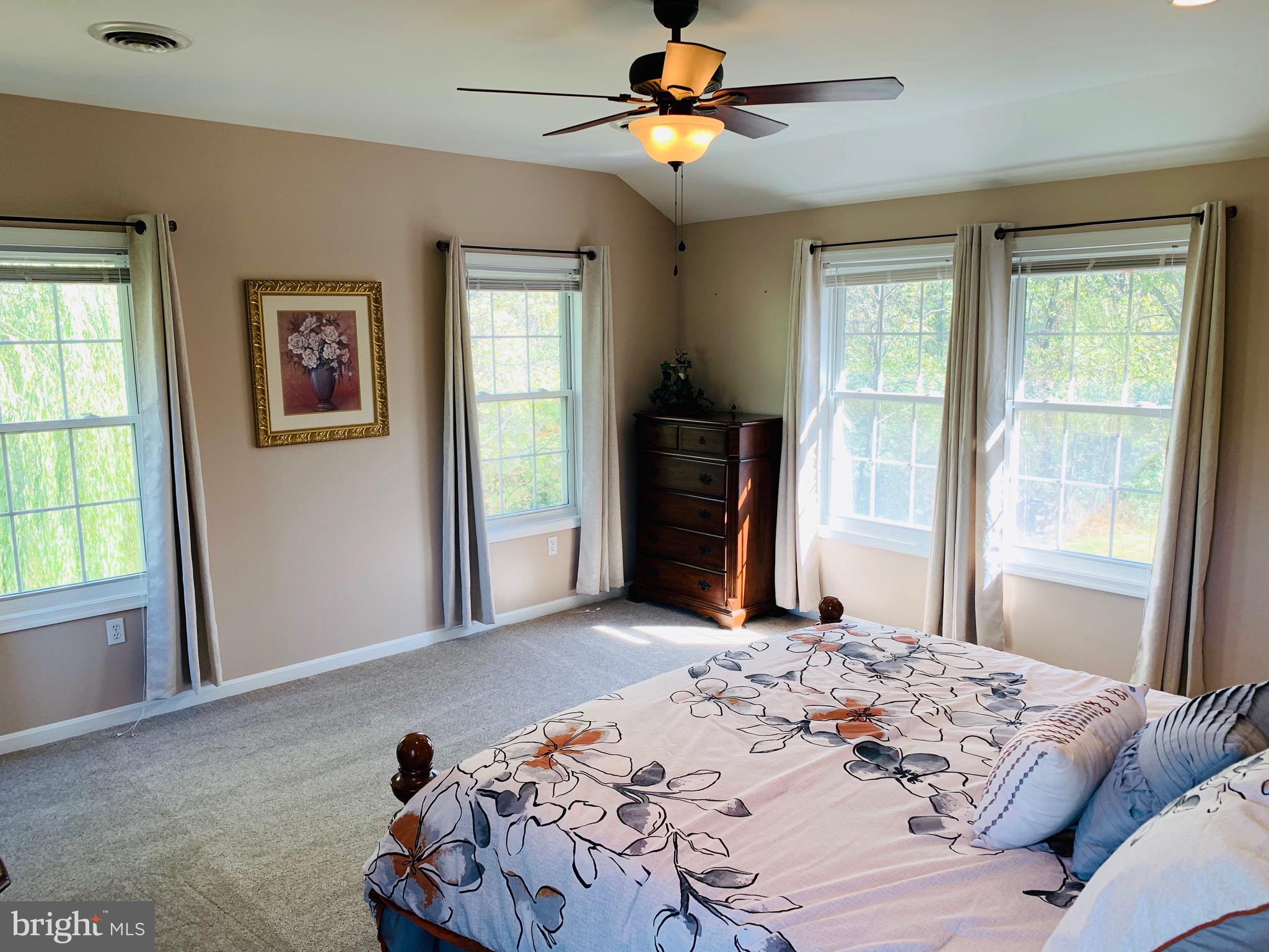 445 Cather Road Berryville, VA 22611 - Photo 37 of 77 Stunning upper master bedroom