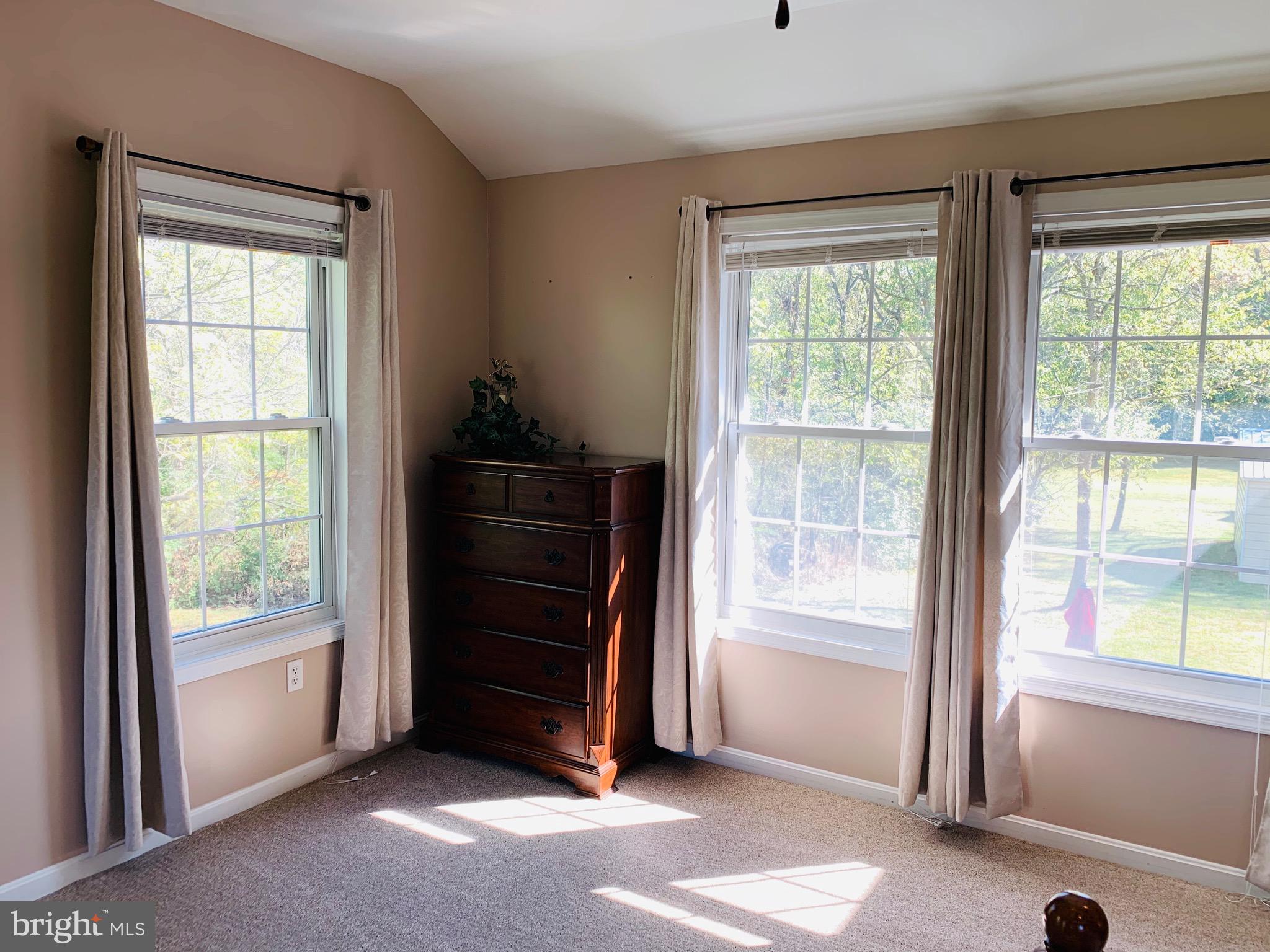 445 Cather Road Berryville, VA 22611 - Photo 38 of 77 Stunning upper master bedroom