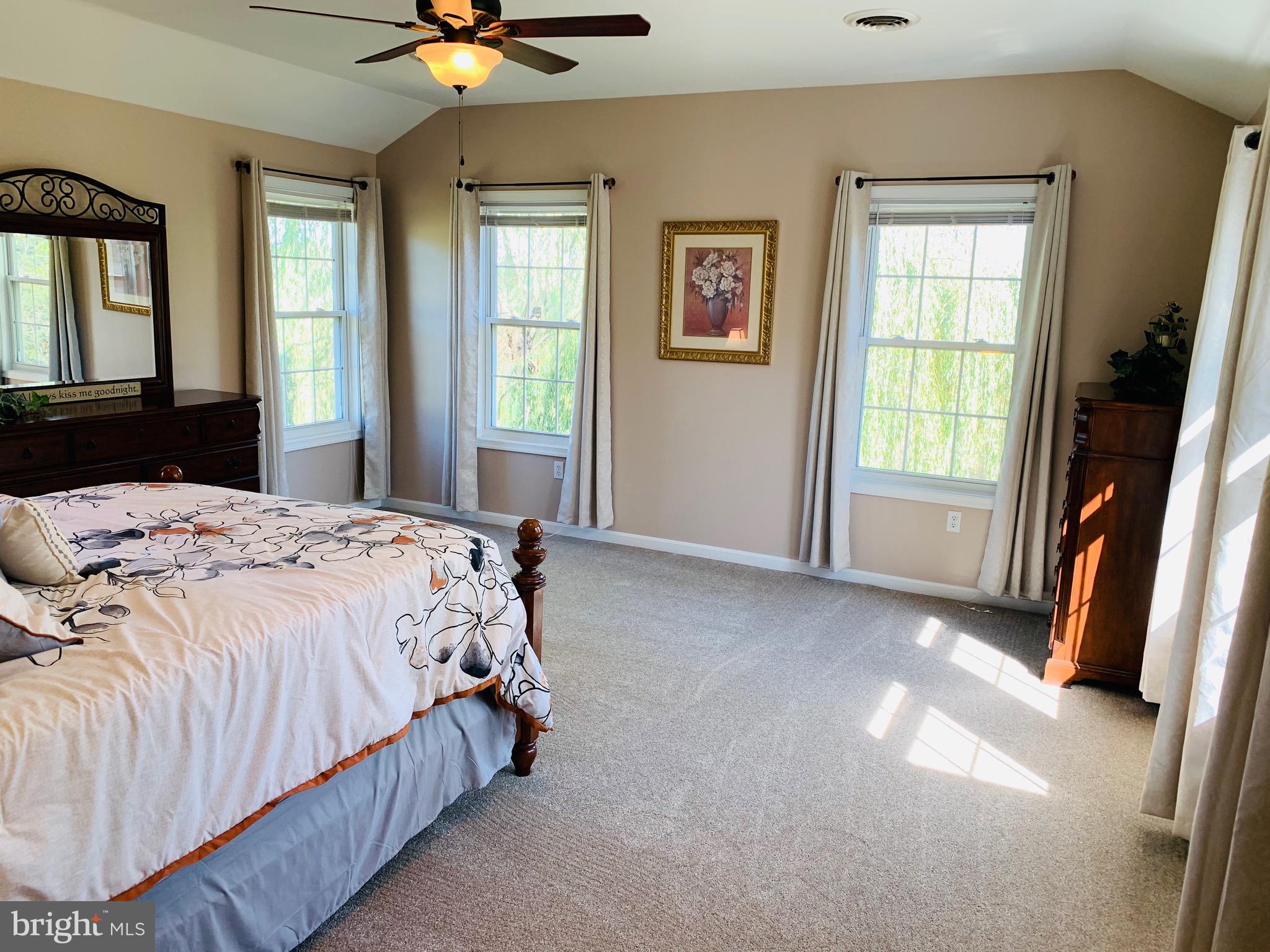 445 Cather Road Berryville, VA 22611 - Photo 39 of 77 Stunning upper master bedroom