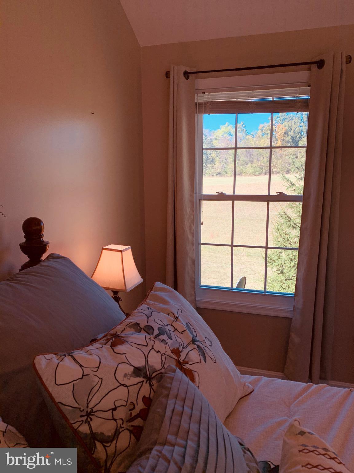 445 Cather Road Berryville, VA 22611 - Photo 40 of 77 View from the bed - imagine waking up to that!