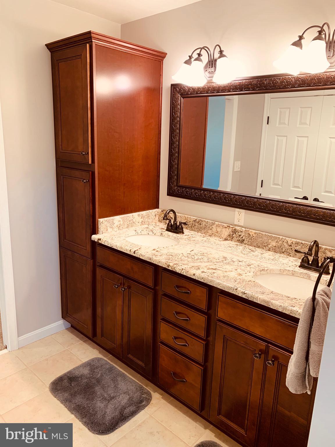 445 Cather Road Berryville, VA 22611 - Photo 42 of 77 Dual sinks and luxurious storage cabinet