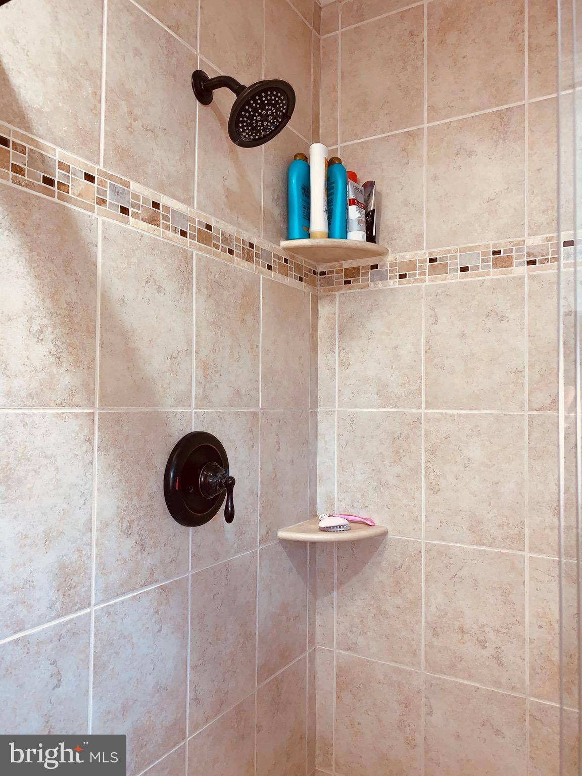 445 Cather Road Berryville, VA 22611 - Photo 43 of 77 Master bath Shower