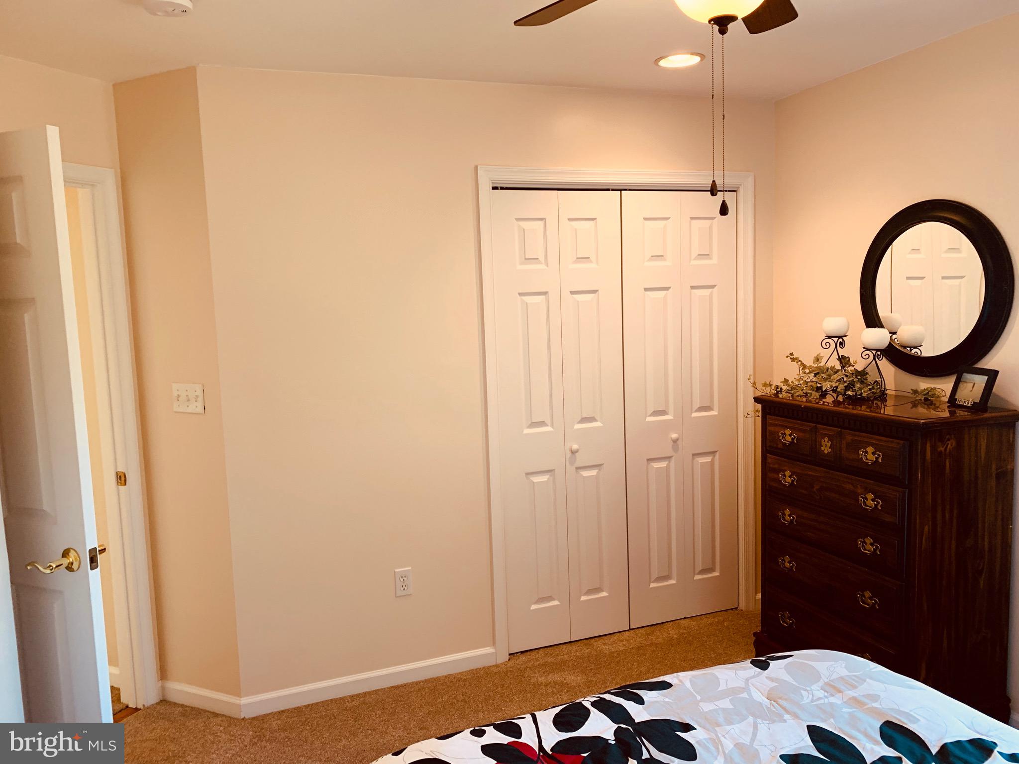 445 Cather Road Berryville, VA 22611 - Photo 47 of 77 Bedroom 4 closet