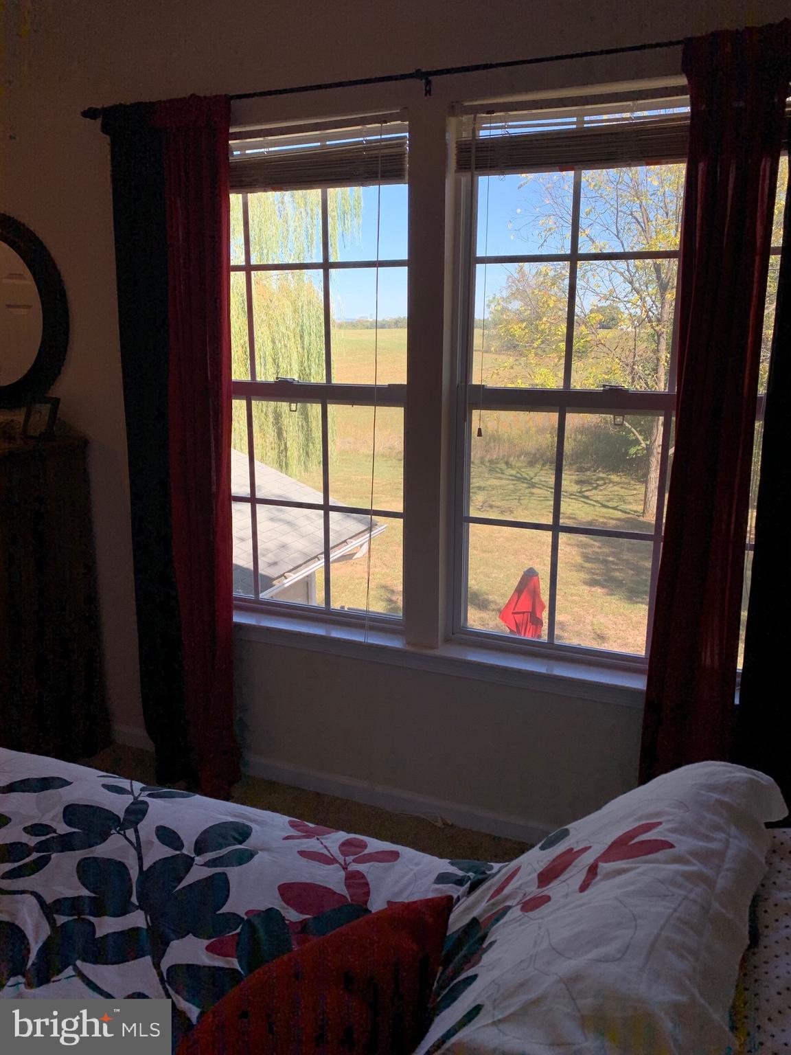 445 Cather Road Berryville, VA 22611 - Photo 48 of 77 View from bedroom 4