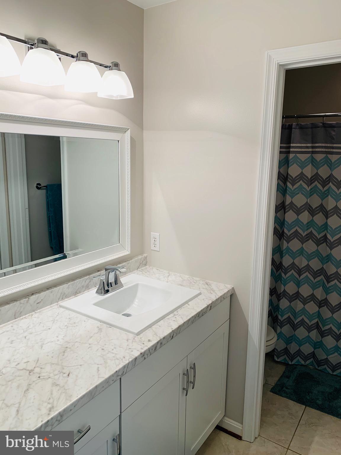 445 Cather Road Berryville, VA 22611 - Photo 52 of 77 Shared bath for Bedrooms 3&4