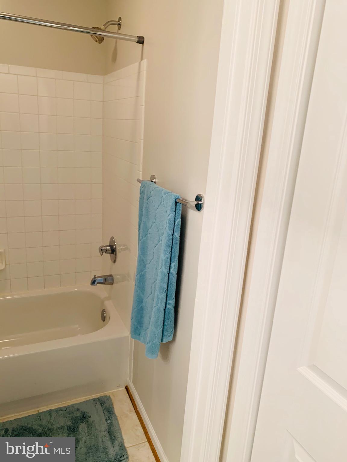 445 Cather Road Berryville, VA 22611 - Photo 54 of 77 Tub in the shared bath