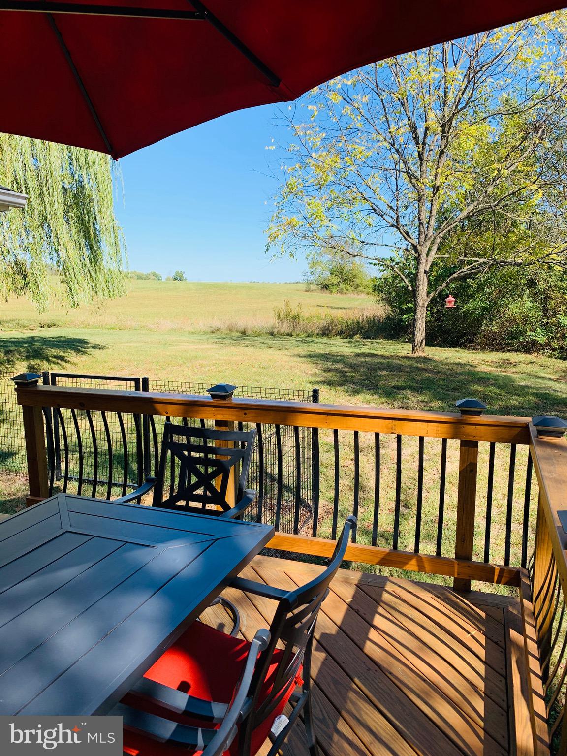 445 Cather Road Berryville, VA 22611 - Photo 59 of 77 View!!!!!