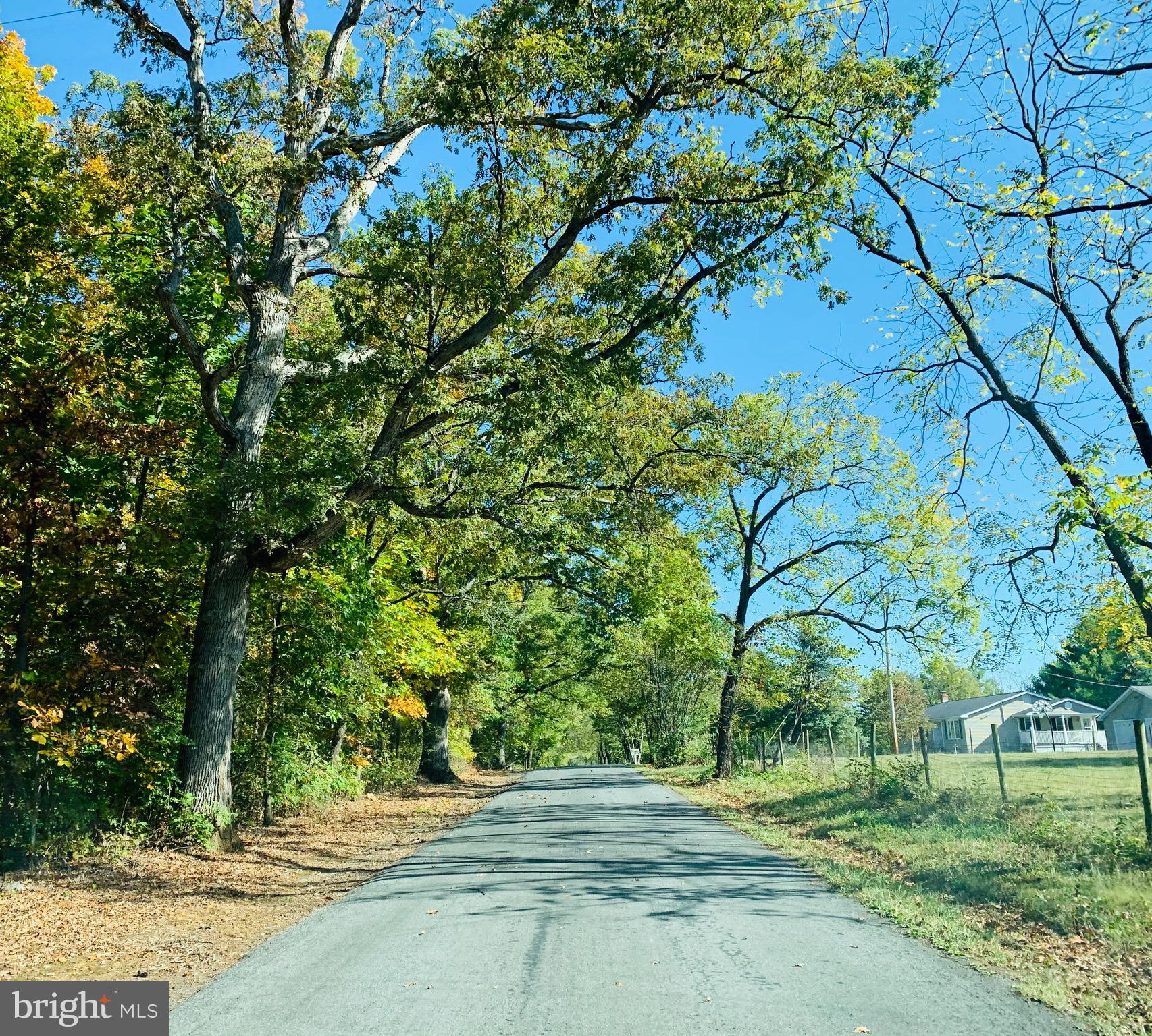 445 Cather Road Berryville, VA 22611 - Photo 61 of 77 Street view