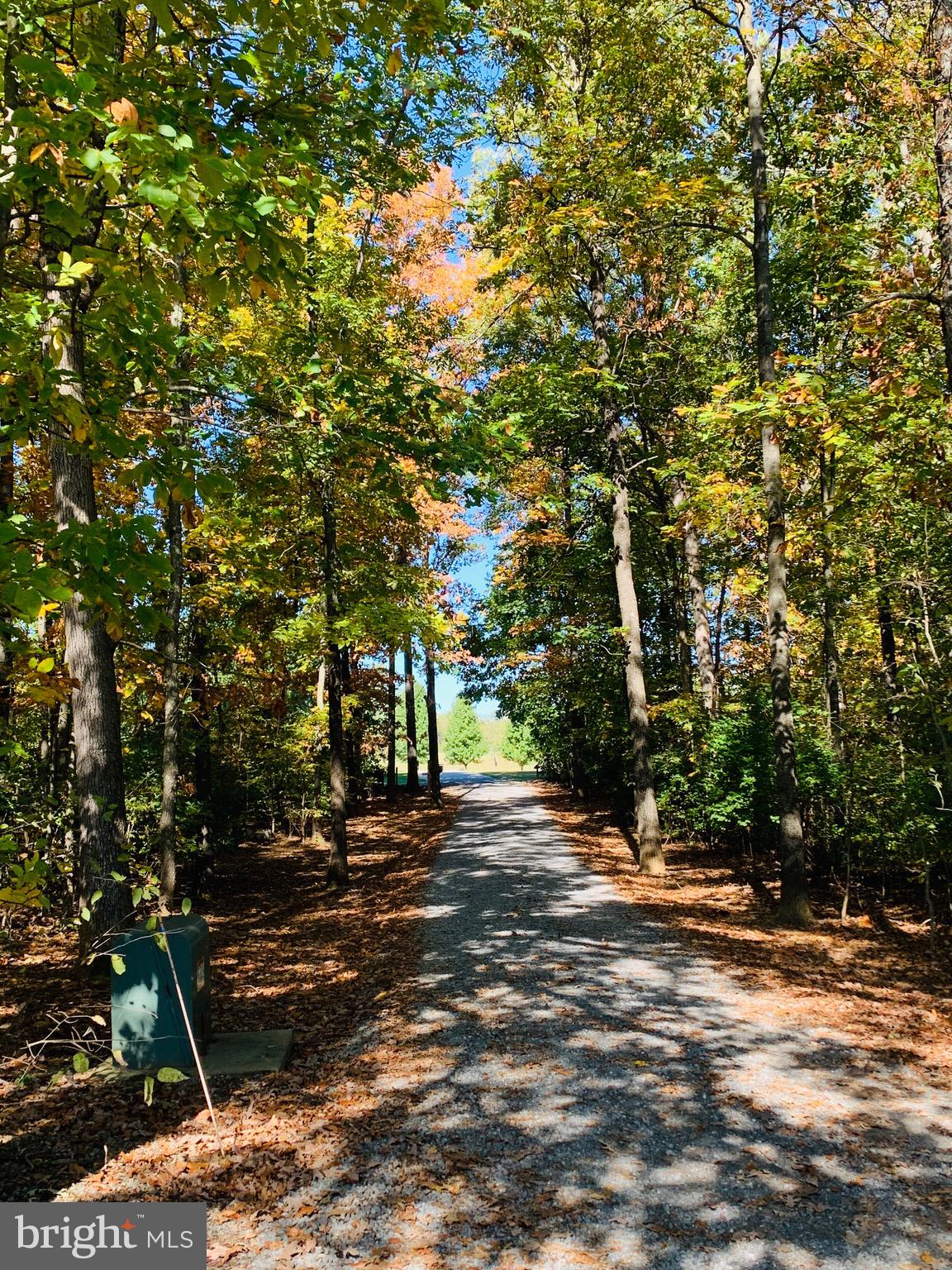 445 Cather Road Berryville, VA 22611 - Photo 62 of 77 View entering the driveway