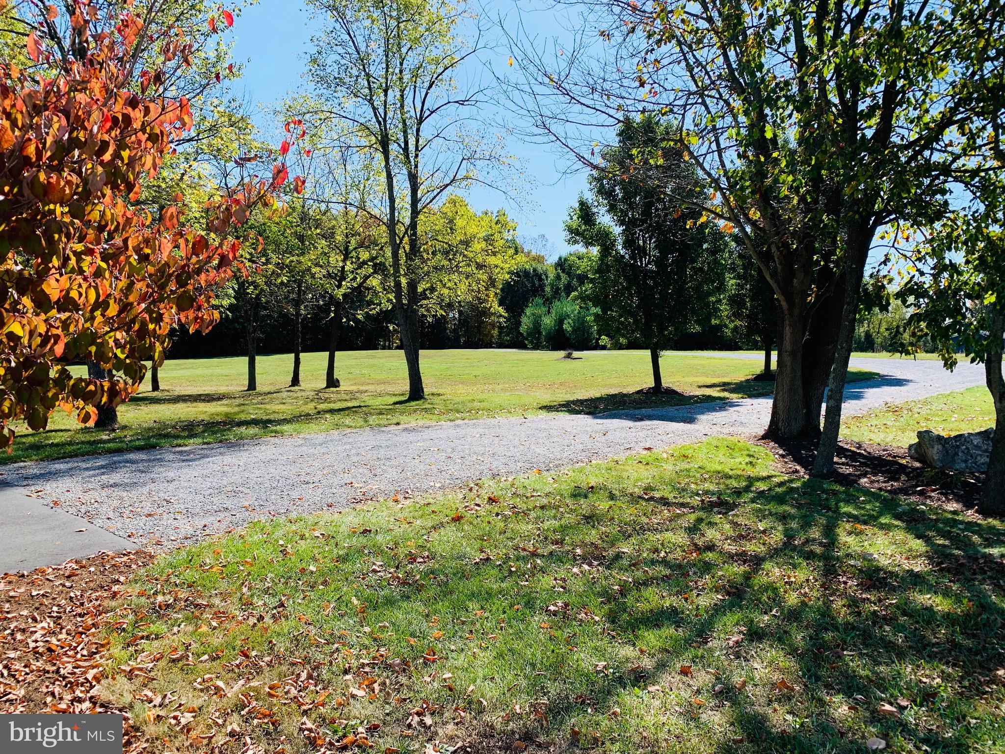 445 Cather Road Berryville, VA 22611 - Photo 67 of 77 View from the house