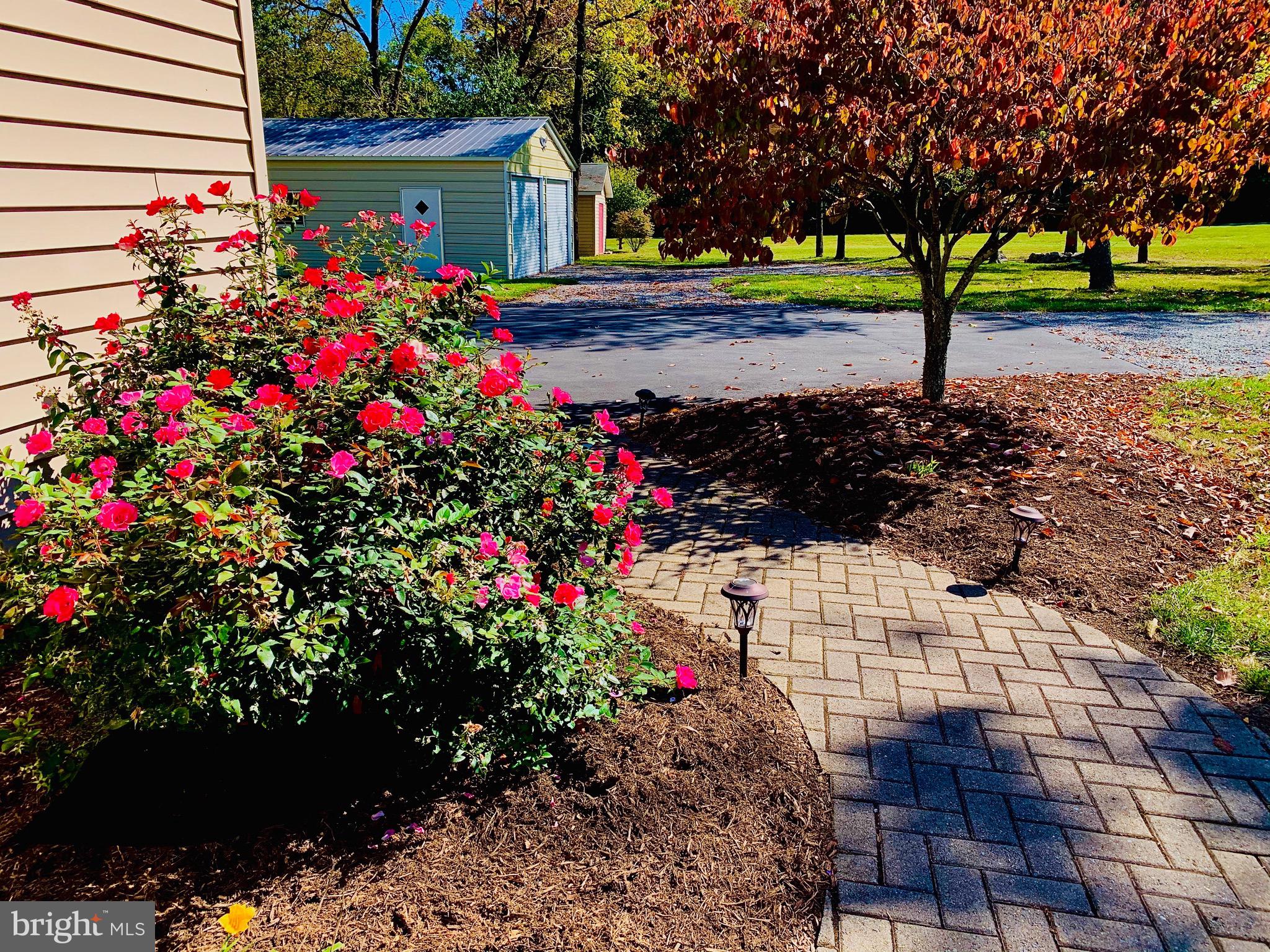 445 Cather Road Berryville, VA 22611 - Photo 71 of 77 Front flower beds
