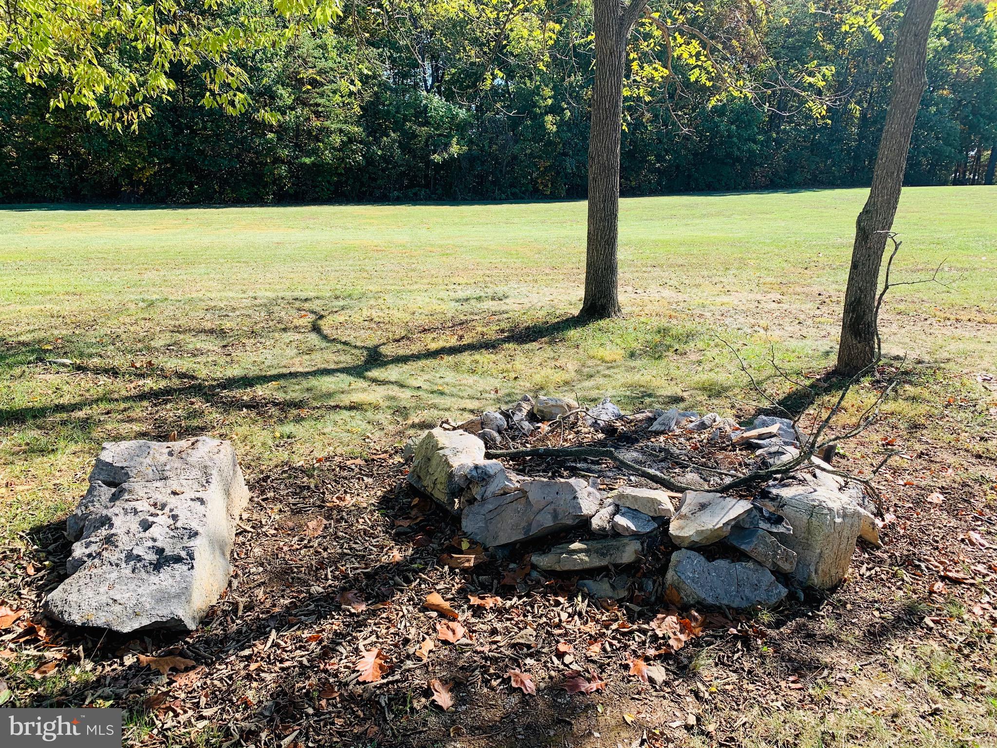 445 Cather Road Berryville, VA 22611 - Photo 73 of 77 Fire pit