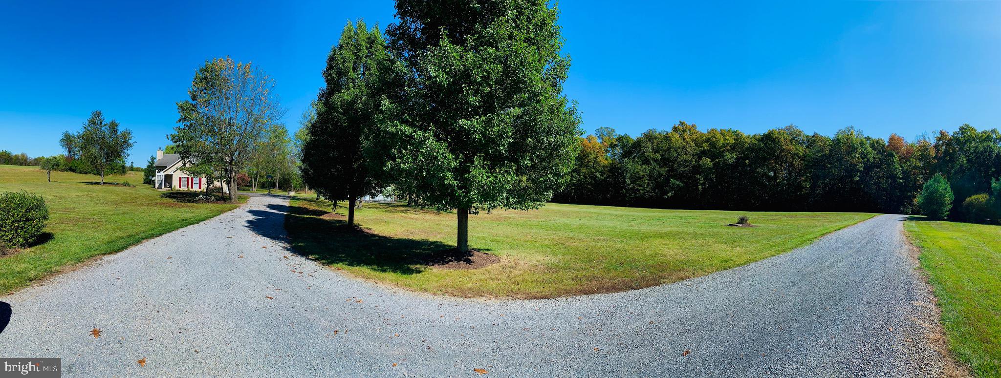 445 Cather Road Berryville, VA 22611 - Photo 74 of 77 View from the driveway turn around
