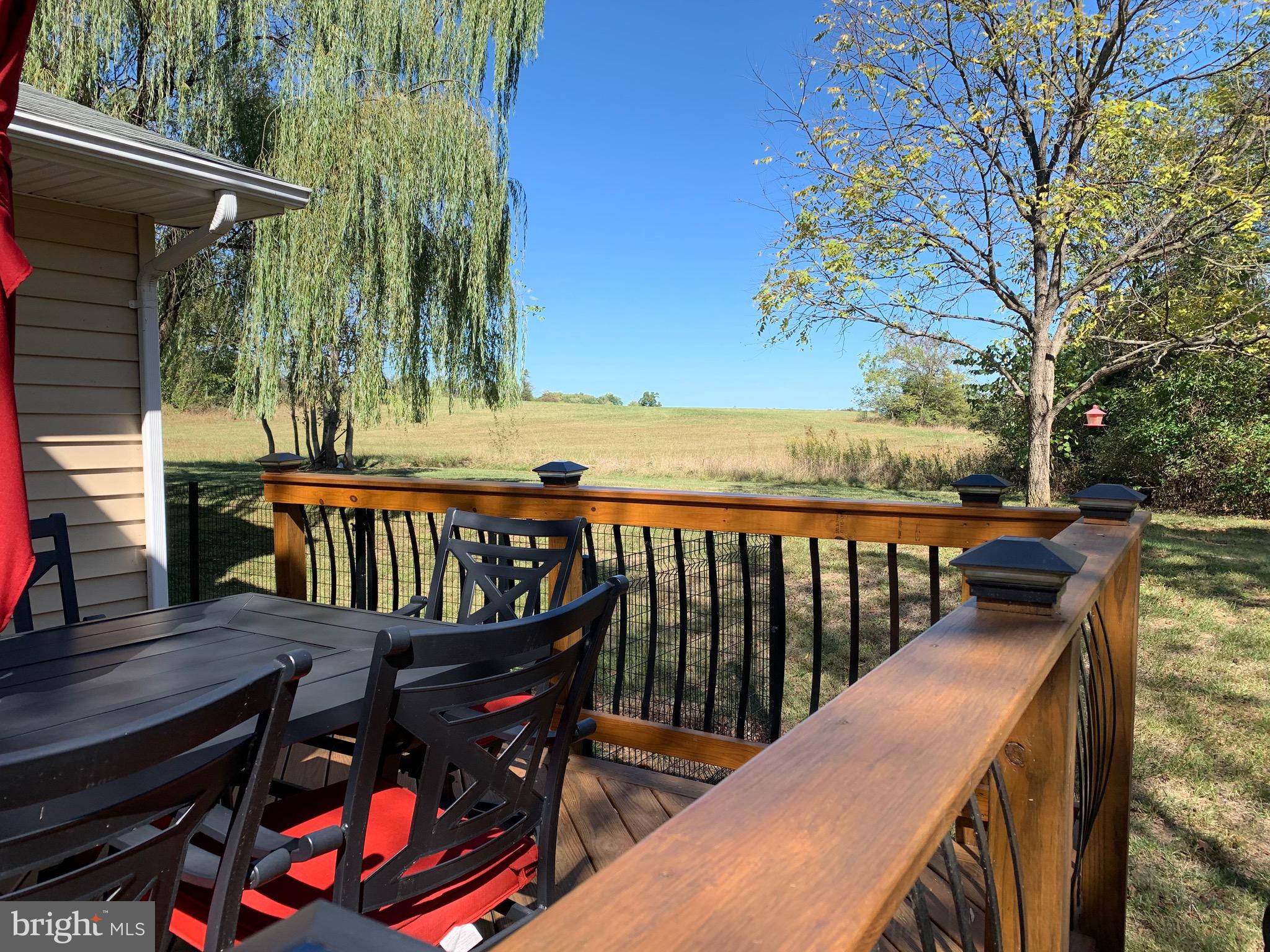 445 Cather Road Berryville, VA 22611 - Photo 76 of 77 Deck view