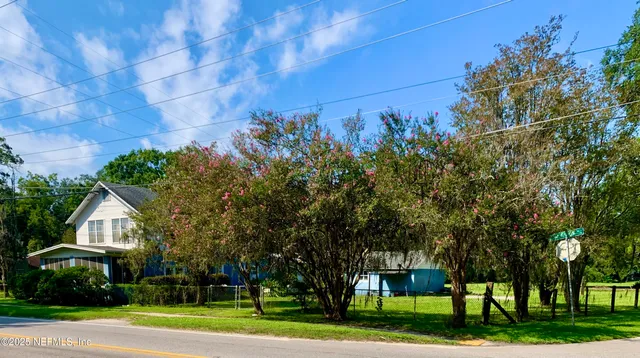 a view of a park with plants and trees
